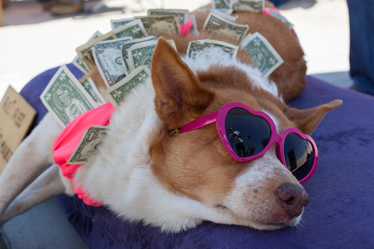 Financial Influencer Tips
